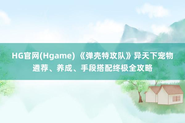 HG官网(Hgame) 《弹壳特攻队》异天下宠物遴荐、养成、手段搭配终极全攻略
