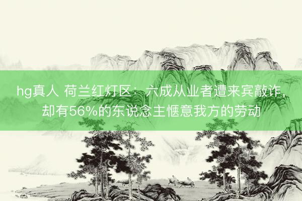 hg真人 荷兰红灯区：六成从业者遭来宾敲诈，却有56%的东说念主惬意我方的劳动