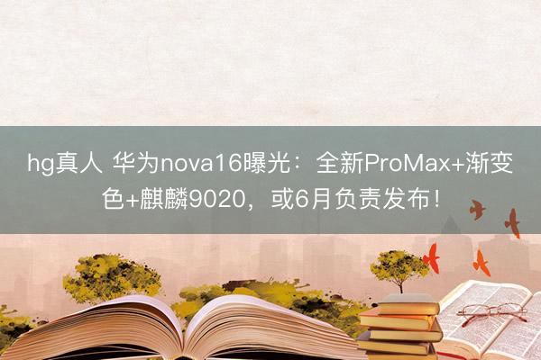 hg真人 华为nova16曝光：全新ProMax+渐变色+麒麟9020，或6月负责发布！